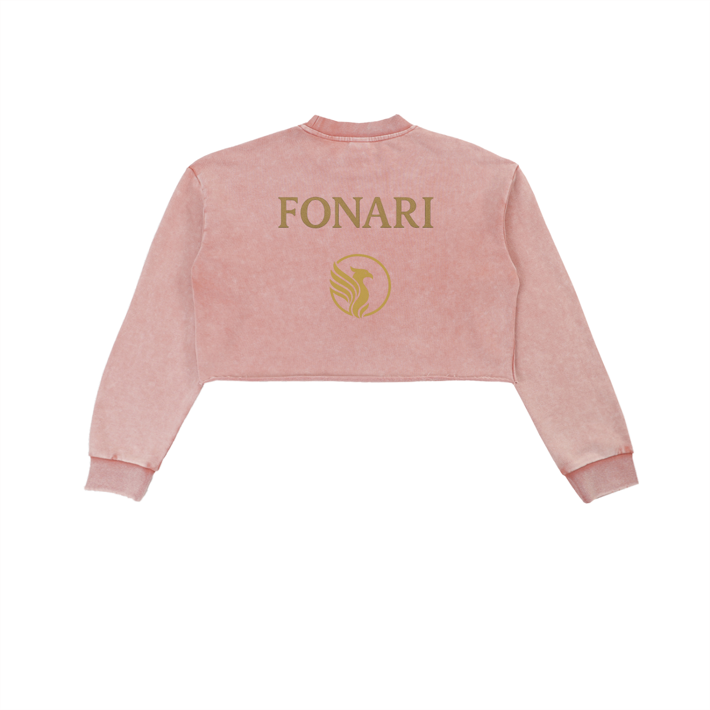 Snow Washed Raw Edge Cropped Sweatshirt